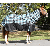 Impressa 'Freedom' Waterproof horse combo MEDIUM 200g - AQUA 2'9, 3'0, 5'6 LEFT