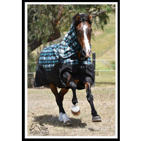 Impressa 'Freedom' Waterproof horse combo HEAVY - AQUA 2'9, 3'0, 3'3, 5'3, 5'6left Only