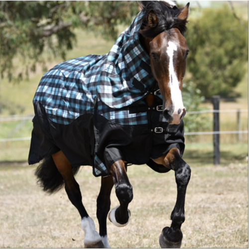 Impressa 'Freedom' Waterproof horse combo LIGHT - AQUA CHECK 2'9, 3'0, 3'3, 3'6, 5'9 LEFT