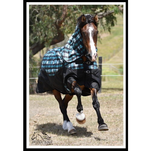 Impressa 'Freedom' Waterproof horse combo HEAVY