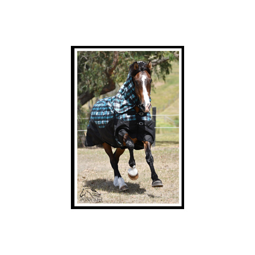 Impressa 'Freedom' Waterproof horse combo HEAVY - 7'0 - 300g - Aqua